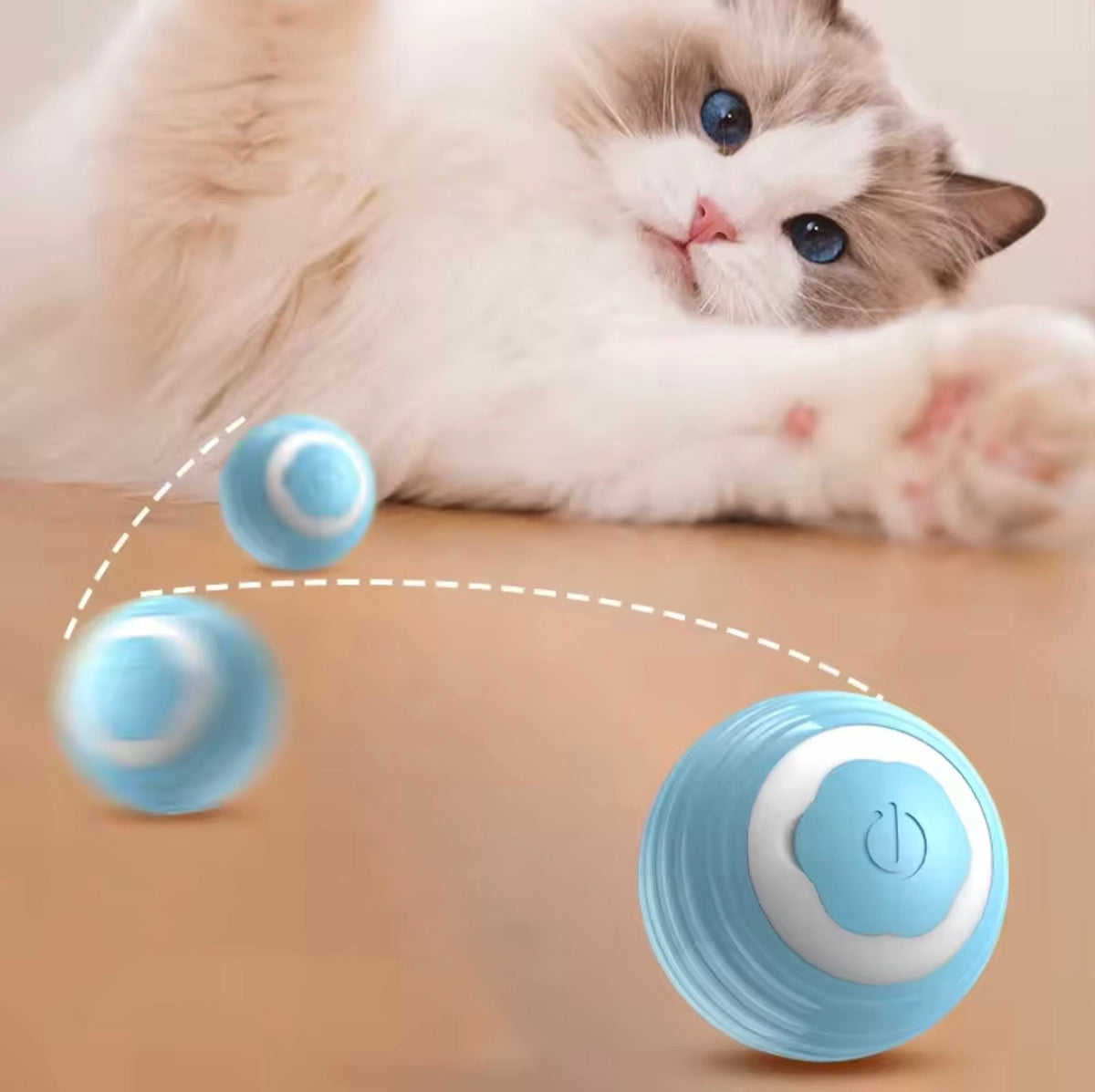 😍 CatRocket Ball (Balle roulante automatique pour chats d'intérieur)