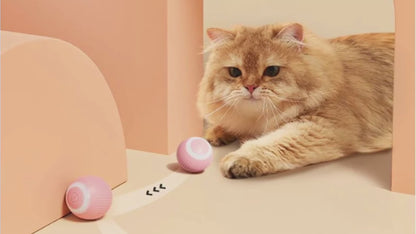 😍 CatRocket Ball (Balle roulante automatique pour chats d'intérieur)